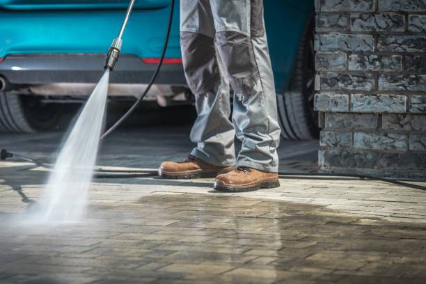 Best Pre-Holiday Cleaning  in Hastings, MI