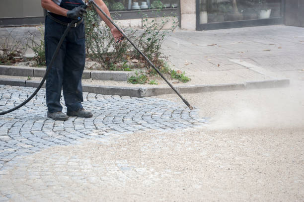 Best Winterizing Services  in Hastings, MI